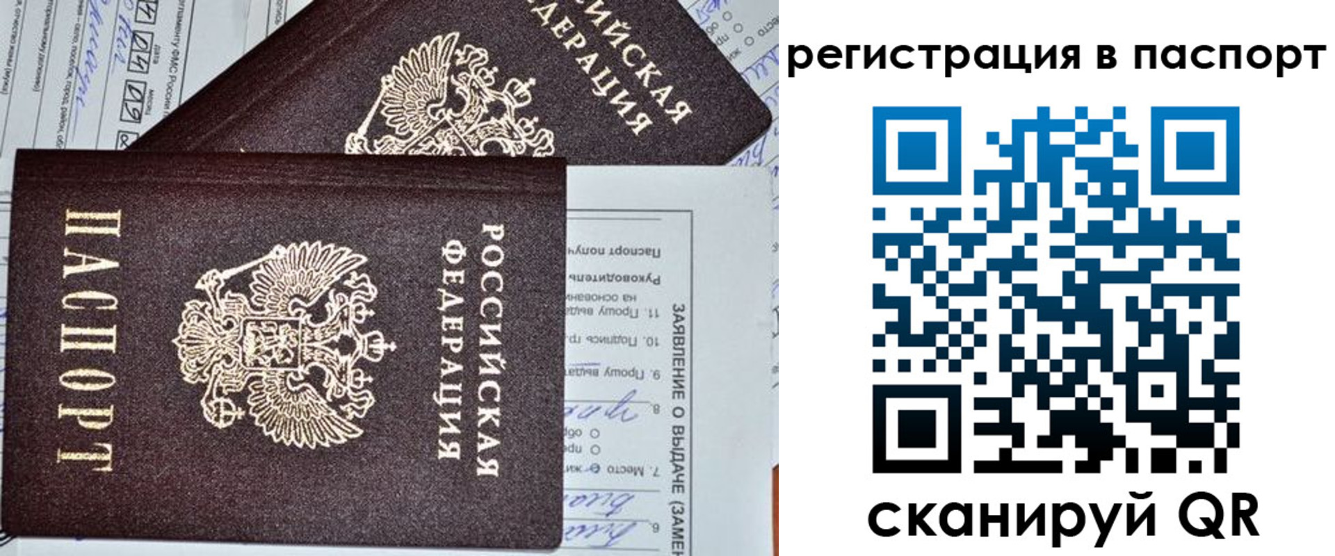 прописка законно в Сосенском